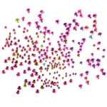 Komilfo rhinestones Rainbow, mix size (1400 pcs per pack) 7