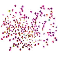 Komilfo rhinestones Rainbow, mix size (1400 pcs per pack) 4